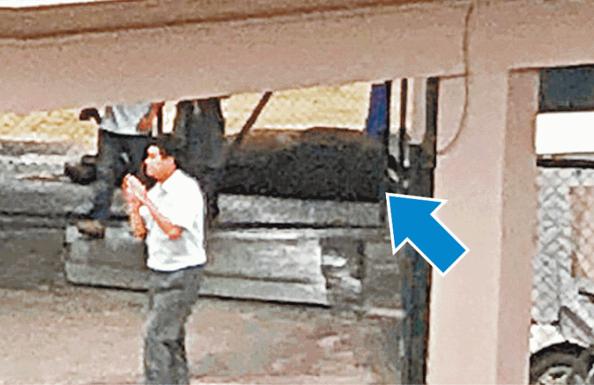 現場人員替倒地死去的「美麗寶貝」(箭嘴示)善後。「美麗寶貝」上季贏四場,馬主郭詩雅(右二)與父母拉頭馬。 現場人員替倒地死去的「美麗寶貝」(箭嘴示)善後。「美麗寶貝」上季贏四場,馬主郭詩雅(右二)與父母拉頭馬。