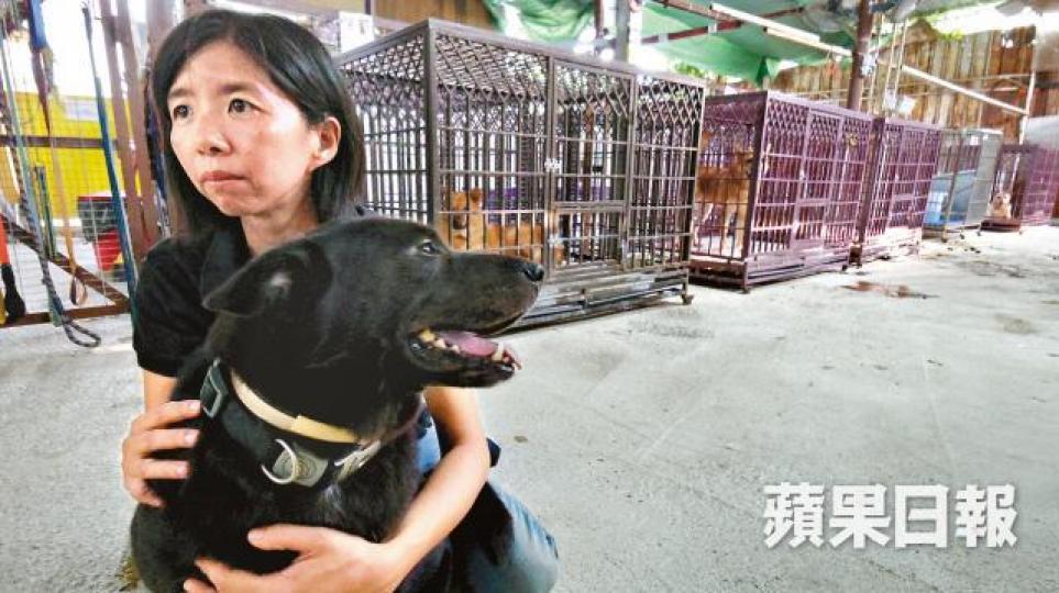 謝小姐準備和丈夫留守狗場。麥超億攝上月29日大雨令阿棍屋水浸。 謝小姐準備和丈夫留守狗場。麥超億攝上月29日大雨令阿棍屋水浸。