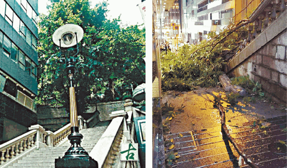都爹利街的百年花崗石階及煤氣燈(左圖),昨被塌樹壓毀(右圖)。Gman Sin fb圖片 都爹利街的百年花崗石階及煤氣燈(左圖),昨被塌樹壓毀(右圖)。Gman Sin fb圖片