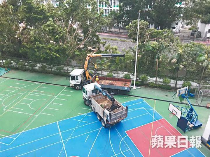 【新蒲崗】當局昨派員到李求恩紀念中學移除塌樹。 【新蒲崗】當局昨派員到李求恩紀念中學移除塌樹。
