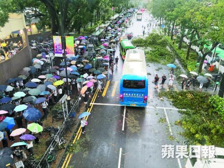 大批上水居民昨在無巴士、火車及道路充滿倒塌大樹情況下趕上班,結果引爆交通大混亂。謝志輝攝特首林鄭月娥塌樹阻塞了堅尼地道,市民難以通過。許頌明攝上水站昨傍晚恢復通車,大批市民即湧入站內。黎樹雄攝 大批上水居民昨在無巴士、火車及道路充滿倒塌大樹情況下趕上班,結果引爆交通大混亂。謝志輝攝特首林鄭月娥塌樹阻塞了堅尼地道,市民難以通過。許頌明攝上水站昨傍晚恢復通車,大批市民即湧入站內。黎樹雄攝