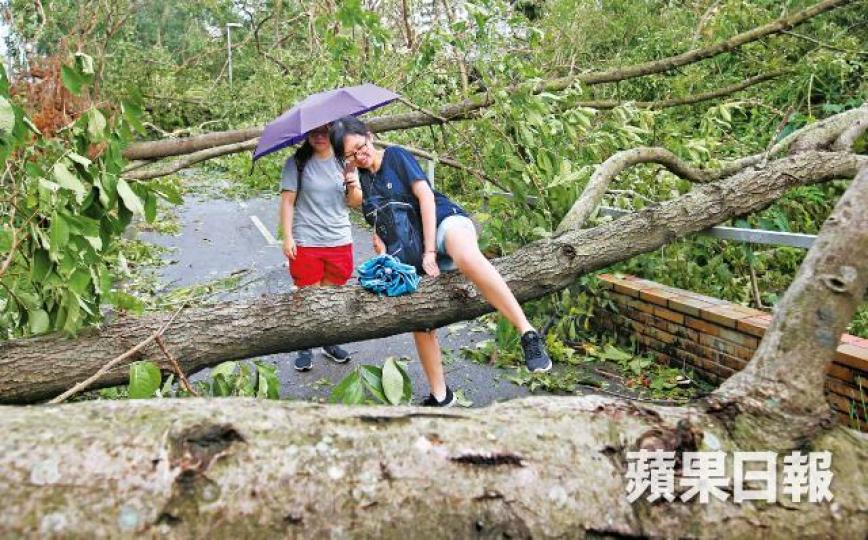 上水有單車徑被多棵塌樹阻塞,市民需跨過重重障礙前行。黎樹雄攝民安隊成員昨清理塌樹時暈倒,救護員到場急救。張培生攝 上水有單車徑被多棵塌樹阻塞,市民需跨過重重障礙前行。黎樹雄攝民安隊成員昨清理塌樹時暈倒,救護員到場急救。張培生攝