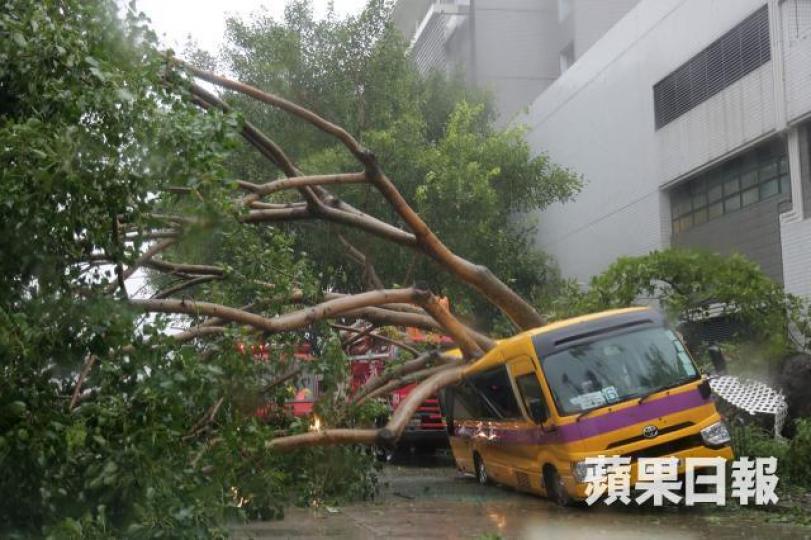 香港話晒係國際金融中心,竟然冇一個政府部門去估算災後嘅經濟損失! 資料圖片 香港話晒係國際金融中心,竟然冇一個政府部門去估算災後嘅經濟損失! 資料圖片