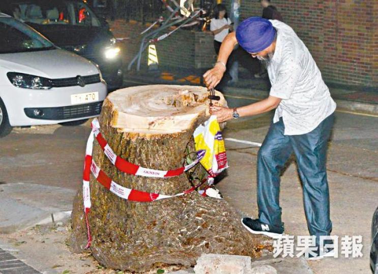 【德成街】南亞漢用鐵鎚及螺絲批鑿開樟樹殘幹。溫瑞麟攝 【德成街】南亞漢用鐵鎚及螺絲批鑿開樟樹殘幹。溫瑞麟攝