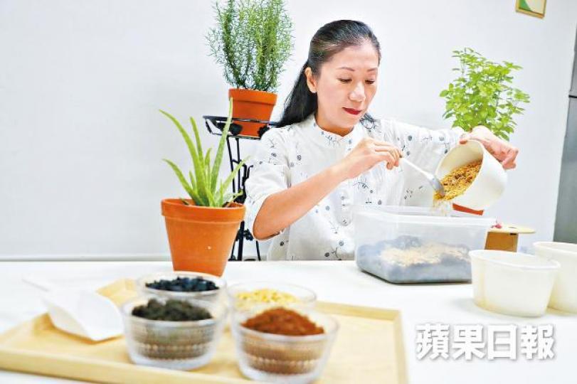 人稱香草女皇的Rowena指以米殼作為泥的一部份,能令泥土更鬆軟彈性,有助疏水透氣。許頌明攝 人稱香草女皇的Rowena指以米殼作為泥的一部份,能令泥土更鬆軟彈性,有助疏水透氣。許頌明攝