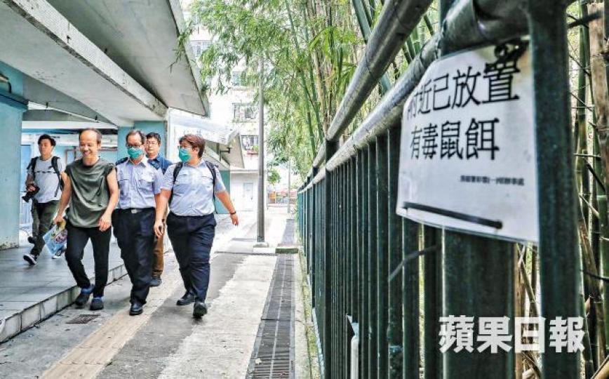 食環署昨派員巡查彩雲邨,了解鼠患。許頌明攝 食環署昨派員巡查彩雲邨,了解鼠患。許頌明攝
