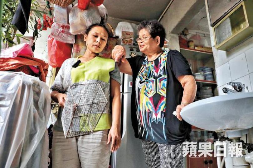 印傭(左)與蓮姐仍保留老鼠籠,以防鼠患重臨。 印傭(左)與蓮姐仍保留老鼠籠,以防鼠患重臨。