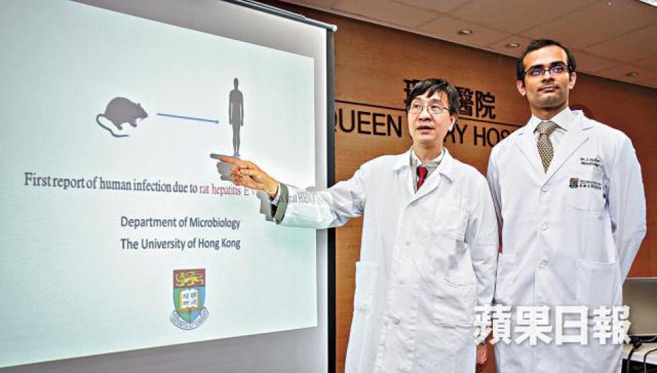 港大教授袁國勇(左)稱目前未知大鼠身上病毒有否變異。李潤芳攝 港大教授袁國勇(左)稱目前未知大鼠身上病毒有否變異。李潤芳攝