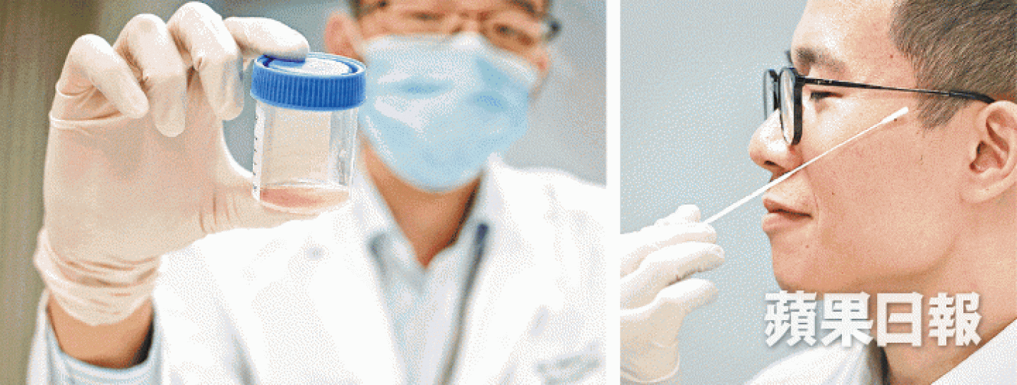 以往醫護人員需把一條棉棒塞進病人鼻腔,取分泌物作流感化驗(右圖);新方法只需取病人1毫升口水即可化驗(左圖)。 何頴賢攝 以往醫護人員需把一條棉棒塞進病人鼻腔,取分泌物作流感化驗(右圖);新方法只需取病人1毫升口水即可化驗(左圖)。 何頴賢攝