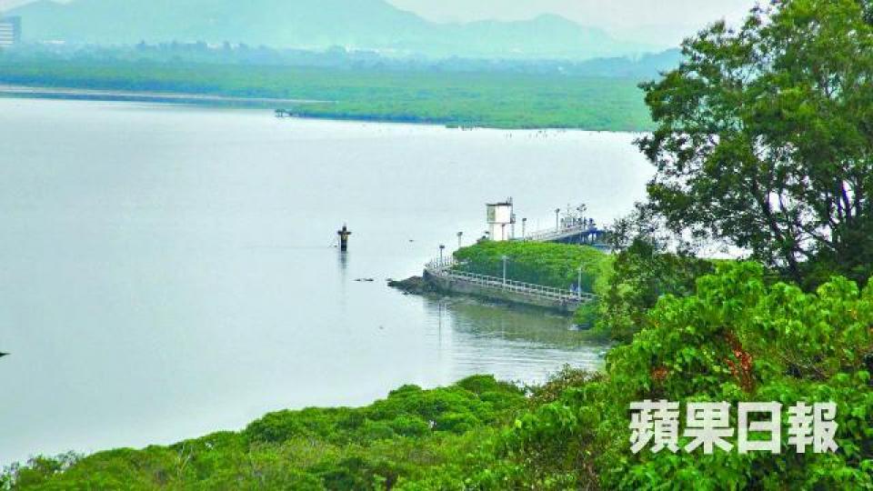 死者在尖鼻嘴碼頭對開海面墮海。 死者在尖鼻嘴碼頭對開海面墮海。