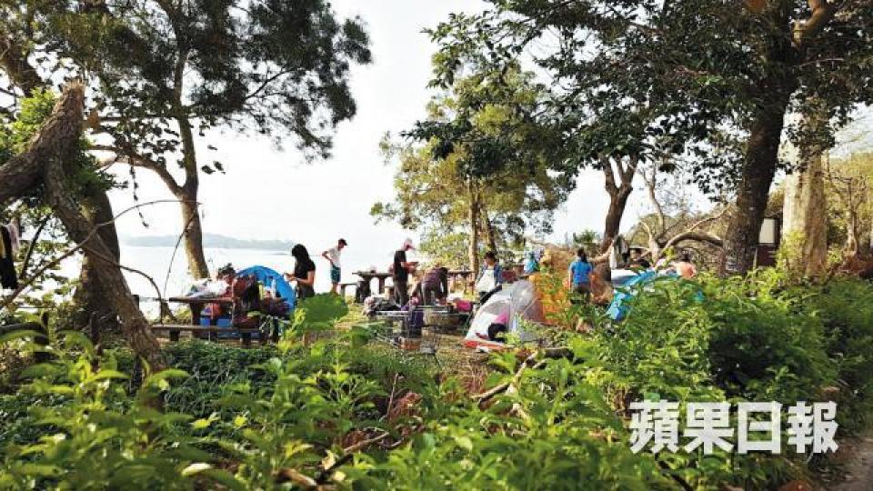 有內地人昨在仍有塌樹的大網仔燒烤場露營。林社炳攝 有內地人昨在仍有塌樹的大網仔燒烤場露營。林社炳攝