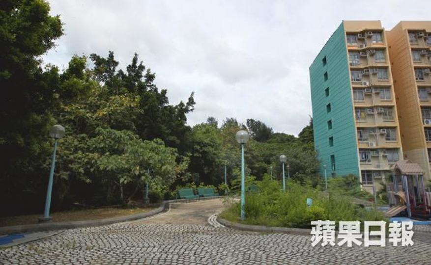 金坪邨 金坪邨