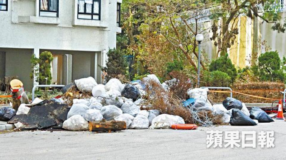 嚴重受災的杏花邨仍有不少工人清理塌樹、洗地及砌磚。