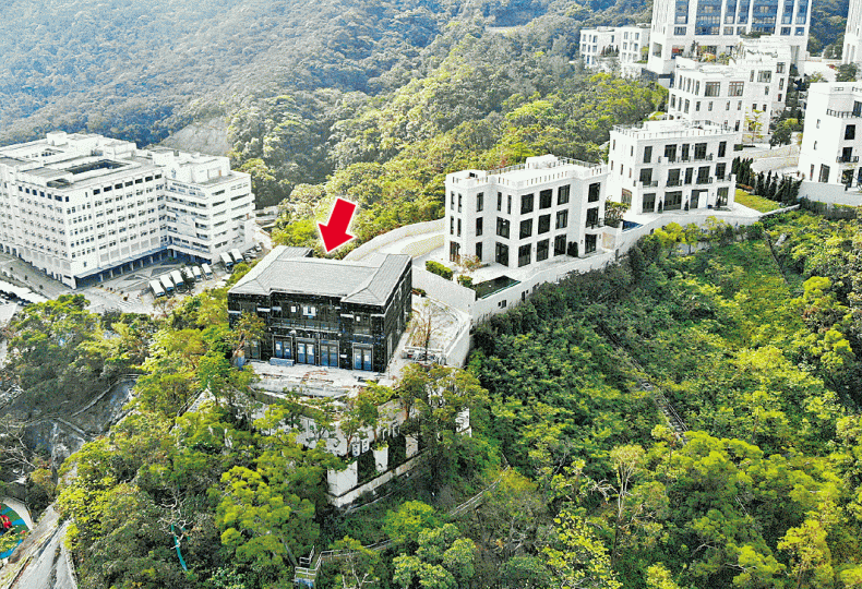 山頂Mount Nicholson一號洋房（箭嘴示）外牆原有的天然石材被全部拆掉，等候添上豪華物料。Mount Nicholson一號洋房（箭嘴示）的外牆原先與其他洋房一樣。資料圖片會德豐副主席梁志堅