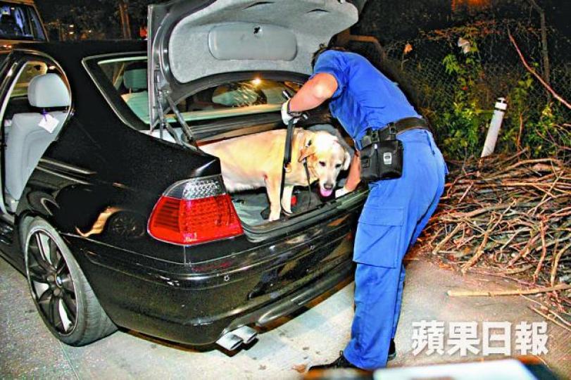 警犬在寶馬車上搜索。 警犬在寶馬車上搜索。