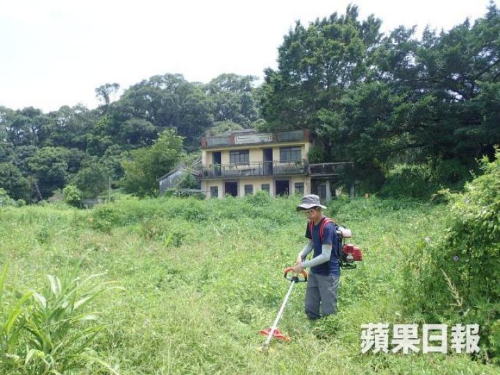 綠色力量工作人員於沙螺洞清除外來植物。綠色力量提供圖片 綠色力量工作人員於沙螺洞清除外來植物。綠色力量提供圖片