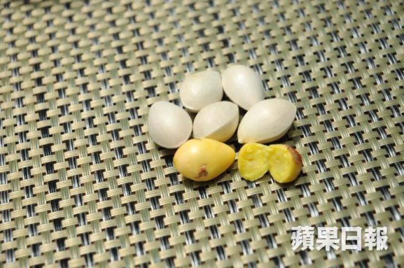 曾有報告指一次過食10至50顆熟白果可致急性中毒。資料圖片 曾有報告指一次過食10至50顆熟白果可致急性中毒。資料圖片