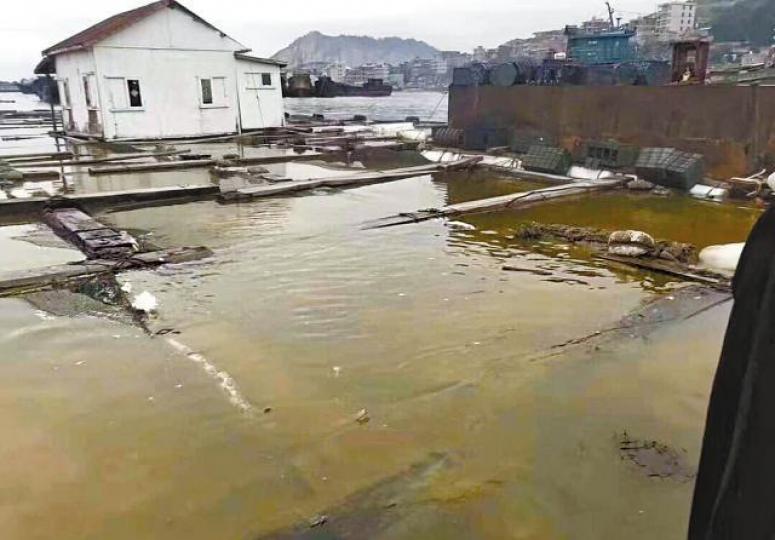 發生碳九洩漏事故的福建泉港,水面被一層黃色物質覆蓋。互聯網有中毒民眾需送院治療。居民將大批因碳九洩漏中毒的死魚打撈上岸。 發生碳九洩漏事故的福建泉港,水面被一層黃色物質覆蓋。互聯網有中毒民眾需送院治療。居民將大批因碳九洩漏中毒的死魚打撈上岸。
