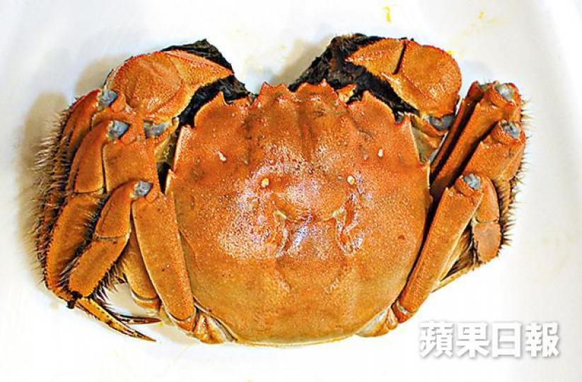 太湖大閘蟹 太湖大閘蟹