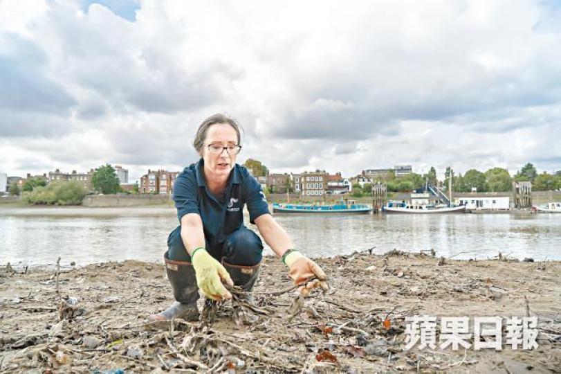 「Thames 21」專家唐納到河岸撿走堆積的濕紙巾。彭志行攝 「Thames 21」專家唐納到河岸撿走堆積的濕紙巾。彭志行攝