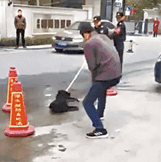 兩名城管用長棍叉着犬隻,並以鐵鏟狂拍狗頭。藝人林源微博上傳餵狗照抗議濫殺。 兩名城管用長棍叉着犬隻,並以鐵鏟狂拍狗頭。藝人林源微博上傳餵狗照抗議濫殺。