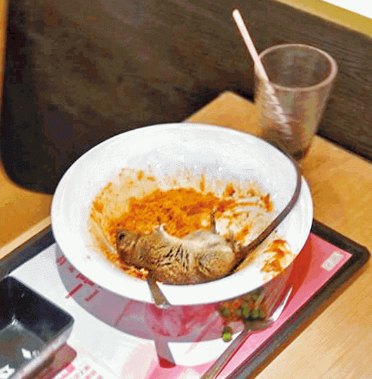 樂華商場大家樂有老鼠跌進食客飯碟,疑已經死掉沒有反應。巴打絲打 Facebook Club圖片 樂華商場大家樂有老鼠跌進食客飯碟,疑已經死掉沒有反應。巴打絲打 Facebook Club圖片