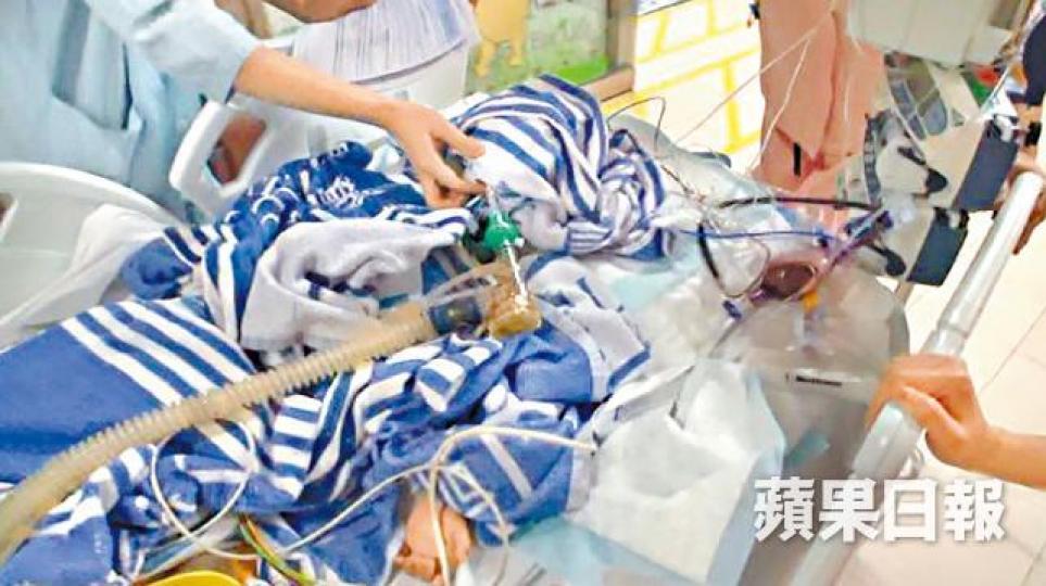 大孖送院時一度呈半昏迷狀態兼抽搐嘔吐,須緊急動開腦手術減壓保命。資料圖片兩名被告維持情侶關係12年,馮嘉寶(左)稱呼陳天佑為老公。 大孖送院時一度呈半昏迷狀態兼抽搐嘔吐,須緊急動開腦手術減壓保命。資料圖片兩名被告維持情侶關係12年,馮嘉寶(左)稱呼陳天佑為老公。