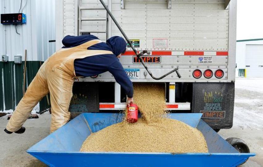 美國出口大豆為全球45%,巴西為33%,中國要養活13億人,除美國以外,世界上沒有足夠的產量供應。資料圖片 美國出口大豆為全球45%,巴西為33%,中國要養活13億人,除美國以外,世界上沒有足夠的產量供應。資料圖片