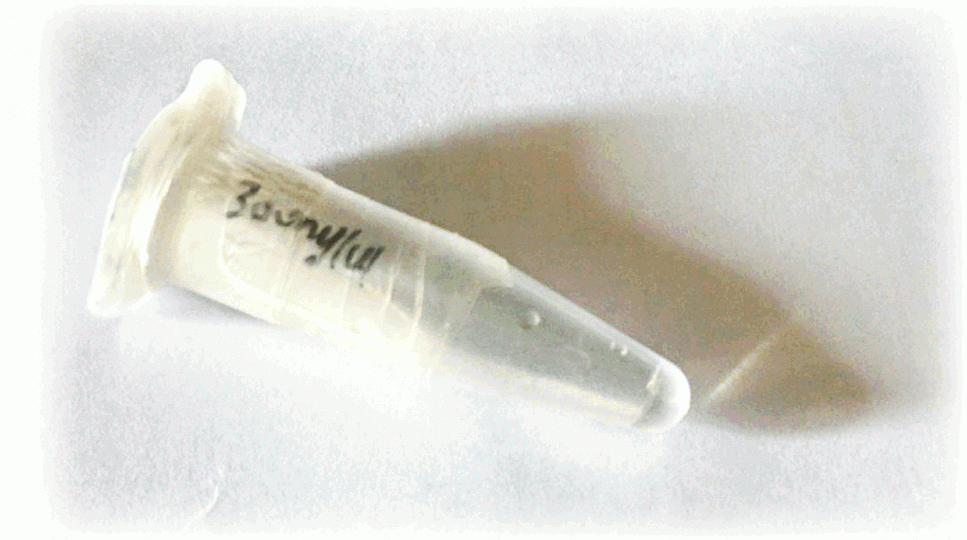 記者由淘寶購得Cas9內切酶實物。基因編輯技術所需的Cas9內切酶,在網上可以輕易買到。 記者由淘寶購得Cas9內切酶實物。基因編輯技術所需的Cas9內切酶,在網上可以輕易買到。
