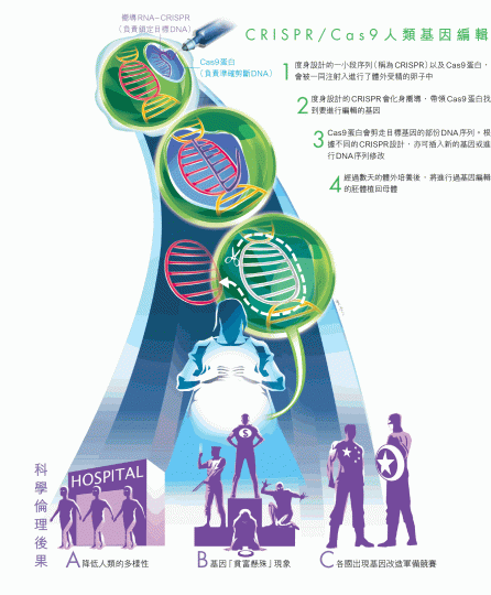 賀建奎 賀建奎