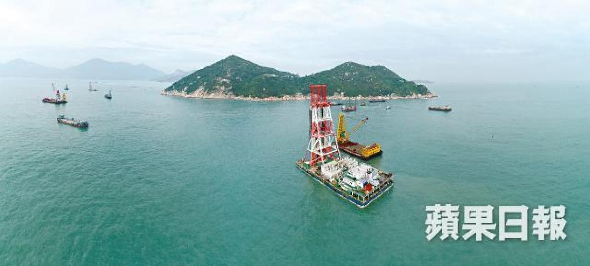 江豚受工程影響,數目急跌九成。江豚香港海豚保育學會提供圖片
江豚受工程影響,數目急跌九成。江豚香港海豚保育學會提供圖片