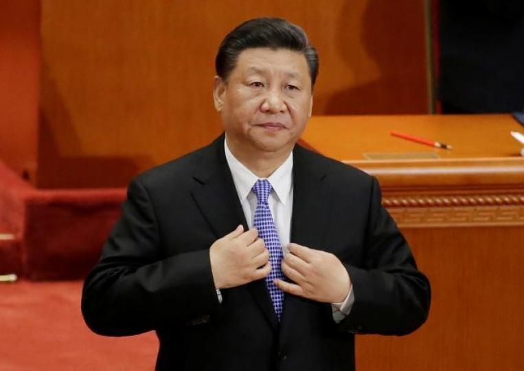 國家主席習近平 國家主席習近平