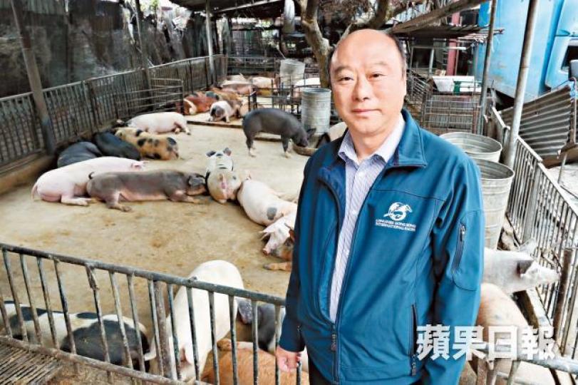 香港農業專區發展協會主席鄭嘉成多年前看淡港養豬業,轉戰內地。何家達攝鄭嘉成指內地豬場比香港效率更高。不少本港豬場場主都是租場經營,未必有誘因提升設備。 香港農業專區發展協會主席鄭嘉成多年前看淡港養豬業,轉戰內地。何家達攝鄭嘉成指內地豬場比香港效率更高。不少本港豬場場主都是租場經營,未必有誘因提升設備。