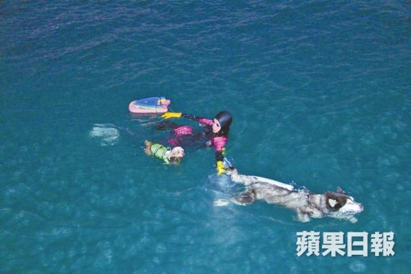 一名伯伯帶着兩頭愛犬到大環山對開岸邊游冬泳。謝志輝攝 一名伯伯帶着兩頭愛犬到大環山對開岸邊游冬泳。謝志輝攝