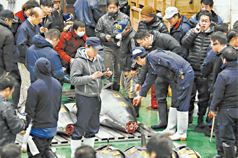 今年「日本一」產自以肥美藍鰭吞拿魚聞名的青森縣大間町。 今年「日本一」產自以肥美藍鰭吞拿魚聞名的青森縣大間町。