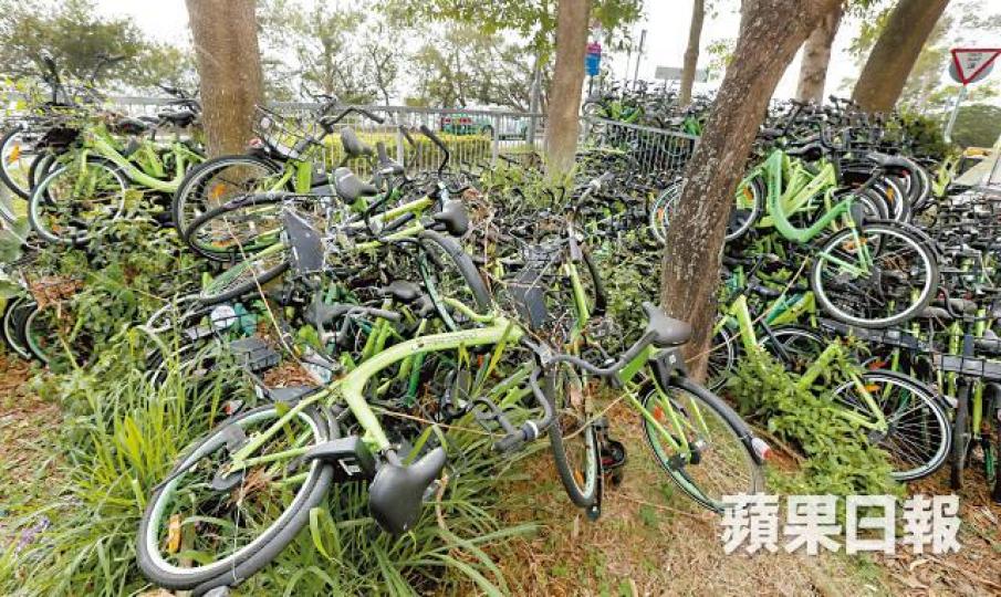 Gobee.bike去年7月宣佈結業,遺下近萬部單車散落香港各地。龍記負責人羅真權指回收經過一波三折,不少單車遭偷去。 Gobee.bike去年7月宣佈結業,遺下近萬部單車散落香港各地。龍記負責人羅真權指回收經過一波三折,不少單車遭偷去。
