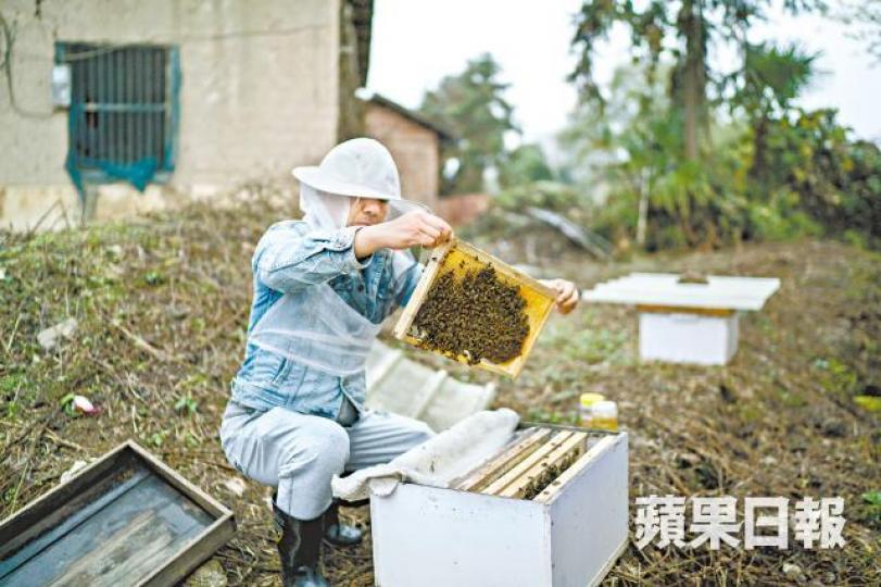何為良現時在村裏做蜂蜜生意。 何為良現時在村裏做蜂蜜生意。