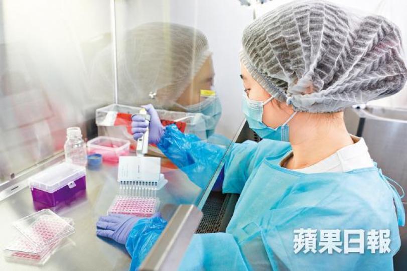 研究暫發現AM580可以注射、口服、腹腔灌注共三種方式進行,效果無異。研究從小鼠身上證實,AM580能阻截病毒繼續複製及繁殖。易仰民攝 研究暫發現AM580可以注射、口服、腹腔灌注共三種方式進行,效果無異。研究從小鼠身上證實,AM580能阻截病毒繼續複製及繁殖。易仰民攝