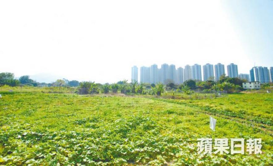 新界東北發展計劃終上馬。資料圖片 新界東北發展計劃終上馬。資料圖片