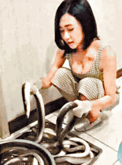 女主播琪琪因直播黃鱔塞下體遭判囚。 女主播琪琪因直播黃鱔塞下體遭判囚。