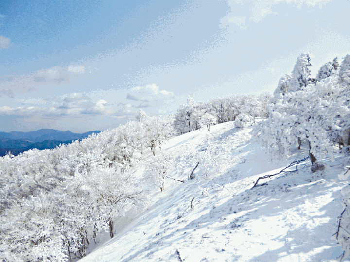 涉事的三峰山位處十勝岳。互聯網 涉事的三峰山位處十勝岳。互聯網