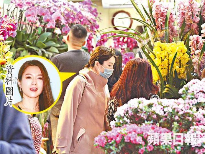 首次以人妻身份過年的苟芸慧,在花墟慢慢揀花。 首次以人妻身份過年的苟芸慧,在花墟慢慢揀花。
