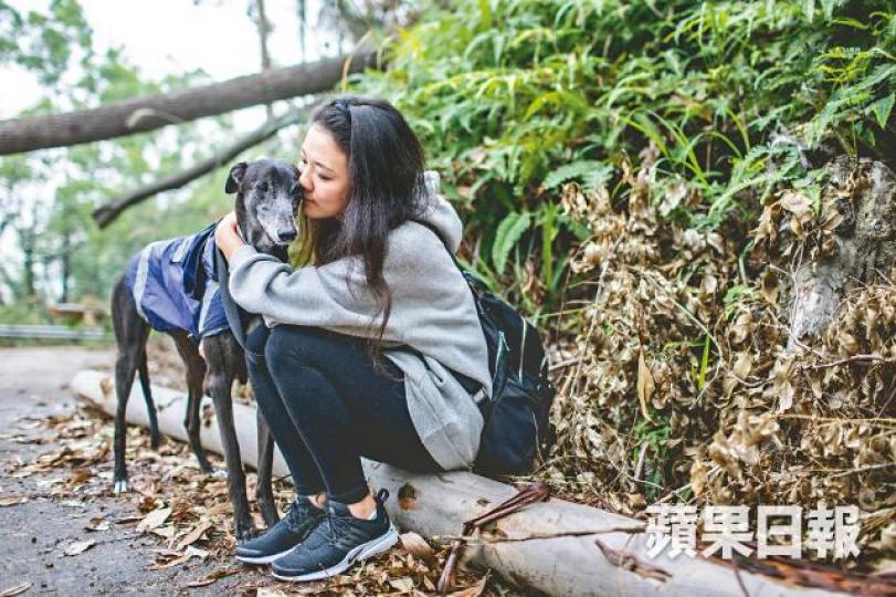 牠曾經奪過23場冠軍,名叫「暴風女神」,新名「阿Belle」。
牠曾經奪過23場冠軍,名叫「暴風女神」,新名「阿Belle」。