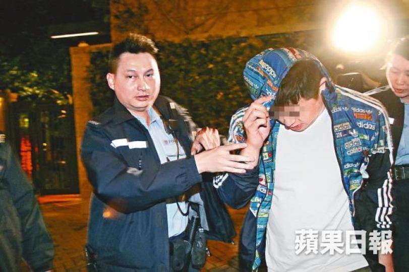 伯恩山犬性格溫馴。互聯網
