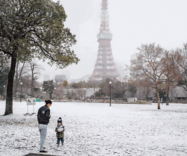在積雪下,東京到處白茫茫。東京料今早積雪五厘米,民眾外出要撐傘。 在積雪下,東京到處白茫茫。東京料今早積雪五厘米,民眾外出要撐傘。