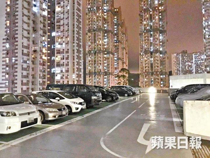 粉嶺欣盛苑放售250個車位，並獲投資者掃貨。