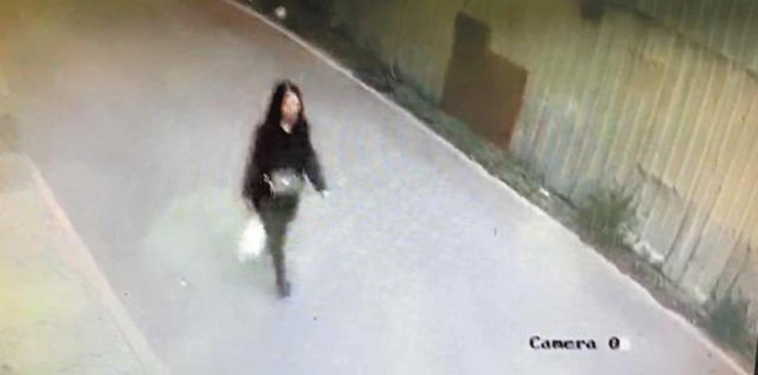 閉路電視片段可見，李女離開貓舍時，手持懷疑藏有貓隻的白色袋。