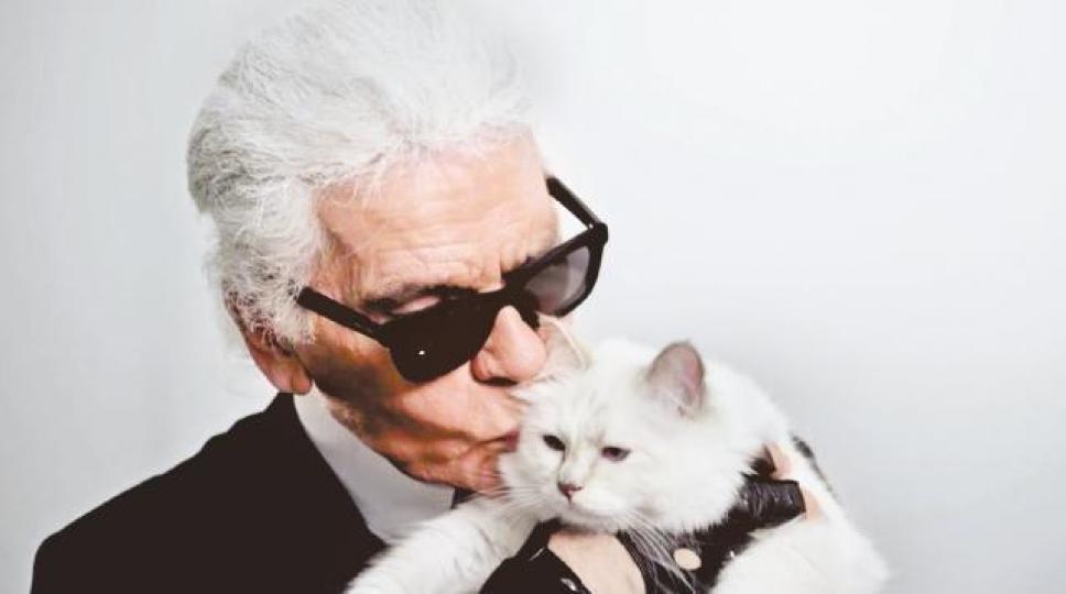 暹羅貓Choupette極得老佛爺歡心,曾拍攝不少廣告及雜誌封面。 暹羅貓Choupette極得老佛爺歡心,曾拍攝不少廣告及雜誌封面。