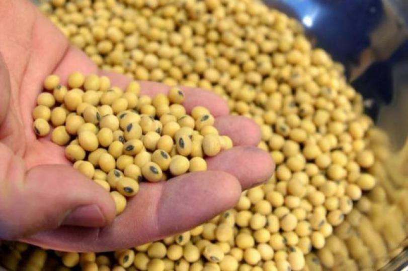 _e123_4TRdpm_bean