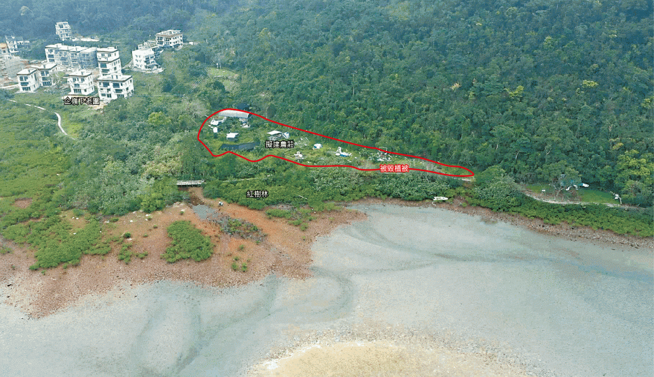 【今年】企嶺下的海岸保護區內土地計劃興建休閒農莊,日後遊客人流恐破壞附近紅樹林生態。黃文邦攝【2012年】衞星圖顯示該地植被仍未破壞。農莊土地現時未動工,雜物遍地。 【今年】企嶺下的海岸保護區內土地計劃興建休閒農莊,日後遊客人流恐破壞附近紅樹林生態。黃文邦攝【2012年】衞星圖顯示該地植被仍未破壞。農莊土地現時未動工,雜物遍地。
